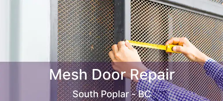  Mesh Door Repair South Poplar - BC