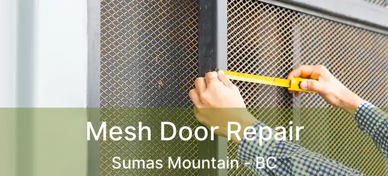  Mesh Door Repair Sumas Mountain - BC