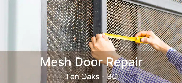  Mesh Door Repair Ten Oaks - BC