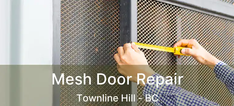  Mesh Door Repair Townline Hill - BC