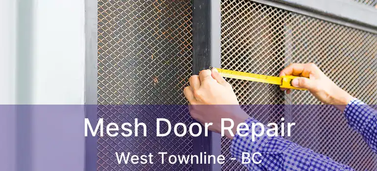  Mesh Door Repair West Townline - BC