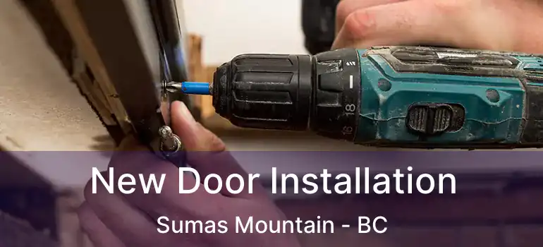 New Door Installation Sumas Mountain - BC