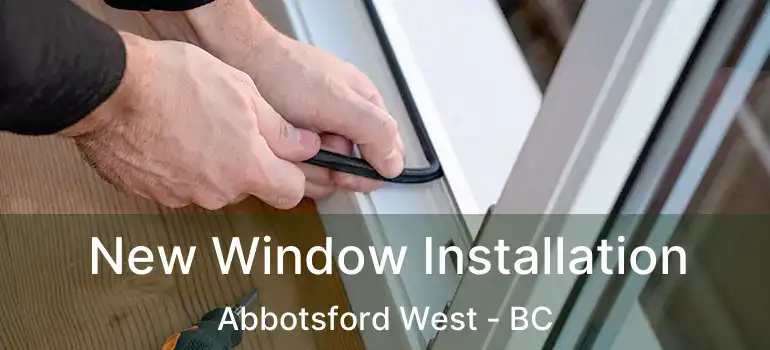  New Window Installation Abbotsford West - BC