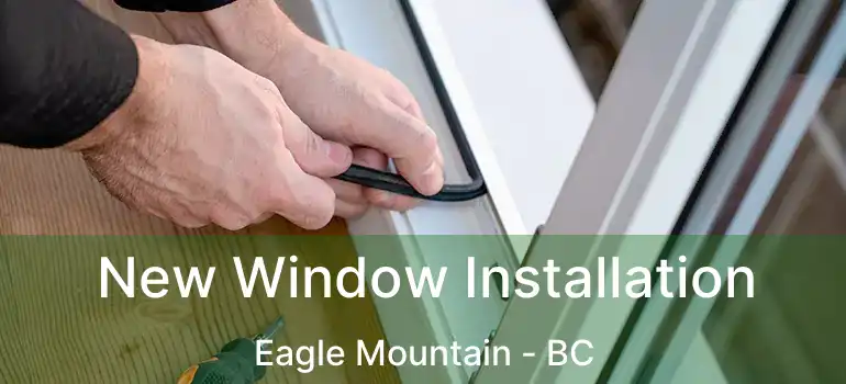  New Window Installation Eagle Mountain - BC