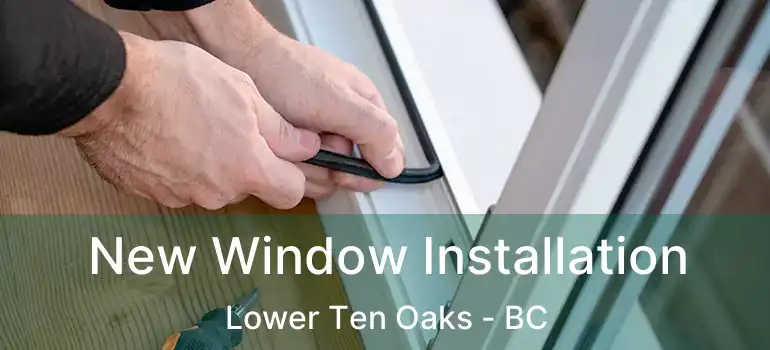  New Window Installation Lower Ten Oaks - BC