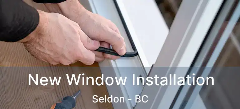  New Window Installation Seldon - BC