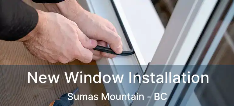  New Window Installation Sumas Mountain - BC