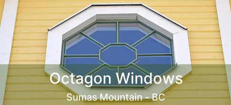  Octagon Windows Sumas Mountain - BC
