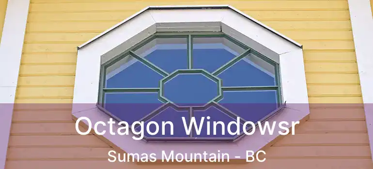  Octagon Windowsr Sumas Mountain - BC