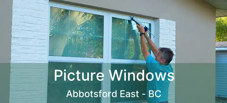  Picture Windows Abbotsford East - BC