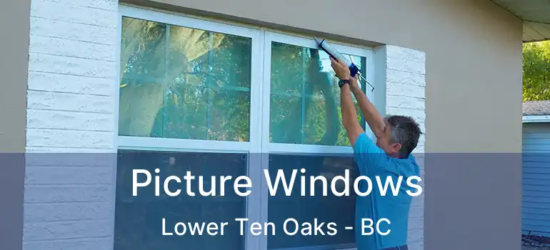  Picture Windows Lower Ten Oaks - BC