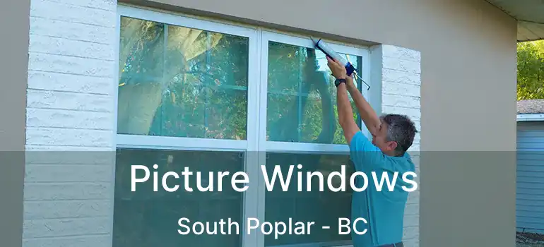  Picture Windows South Poplar - BC