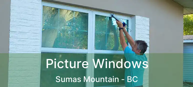  Picture Windows Sumas Mountain - BC