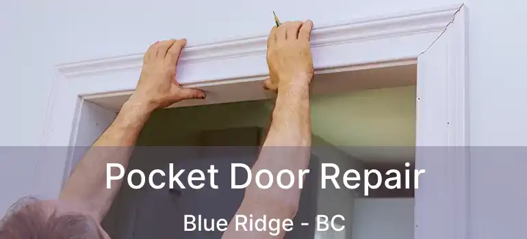  Pocket Door Repair Blue Ridge - BC