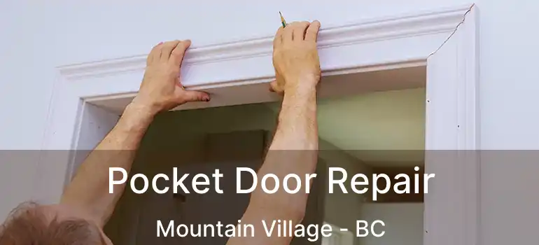  Pocket Door Repair Mountain Village - BC