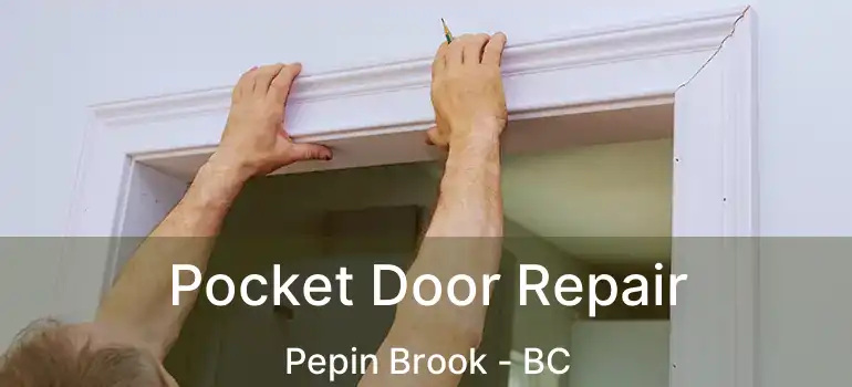  Pocket Door Repair Pepin Brook - BC