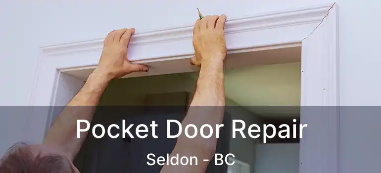  Pocket Door Repair Seldon - BC
