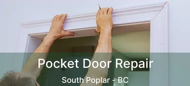  Pocket Door Repair South Poplar - BC