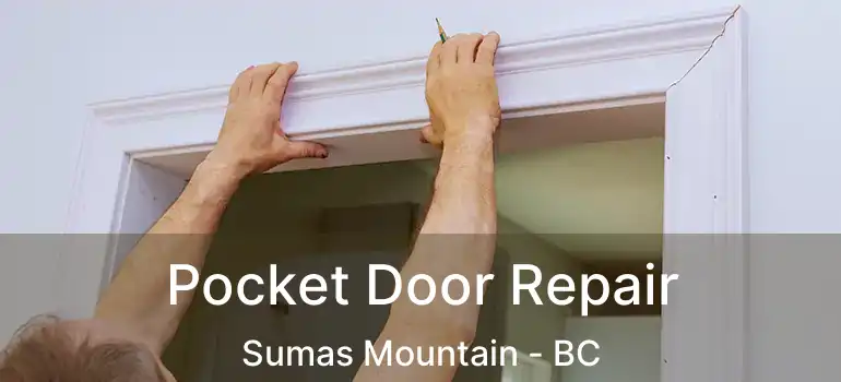  Pocket Door Repair Sumas Mountain - BC