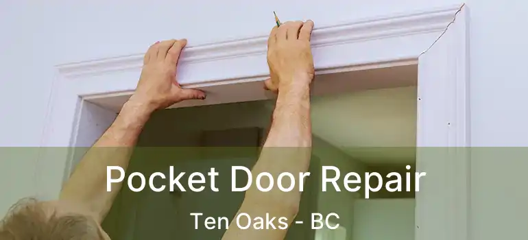  Pocket Door Repair Ten Oaks - BC