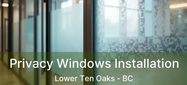  Privacy Windows Installation Lower Ten Oaks - BC