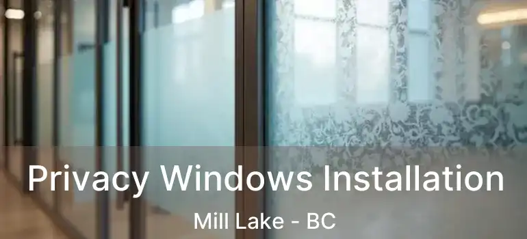  Privacy Windows Installation Mill Lake - BC