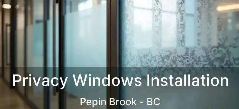  Privacy Windows Installation Pepin Brook - BC