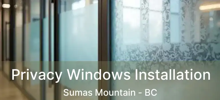  Privacy Windows Installation Sumas Mountain - BC