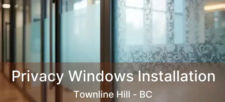  Privacy Windows Installation Townline Hill - BC