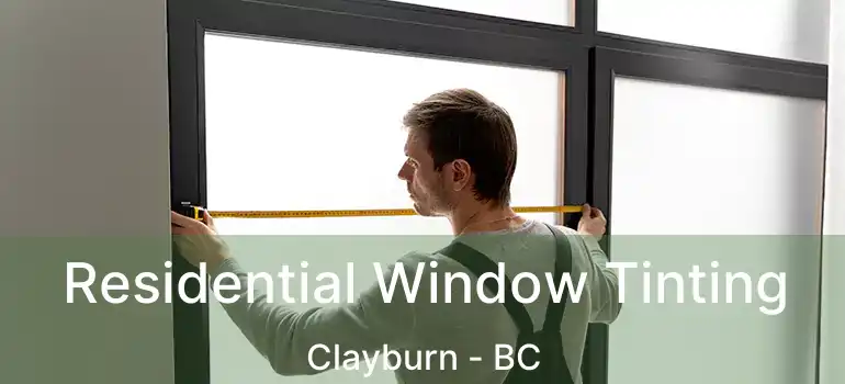  Residential Window Tinting Clayburn - BC