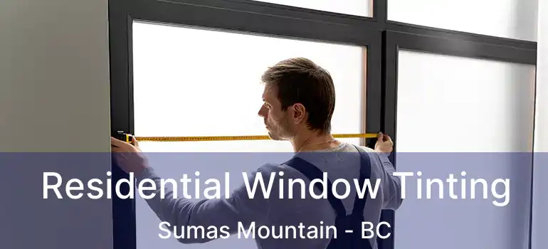  Residential Window Tinting Sumas Mountain - BC