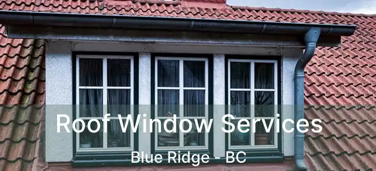  Roof Window Services Blue Ridge - BC