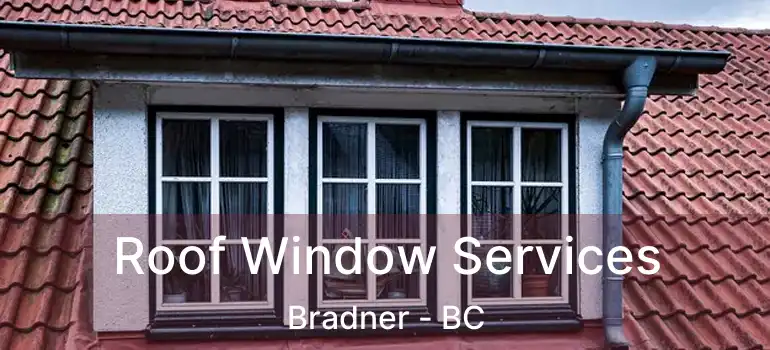  Roof Window Services Bradner - BC