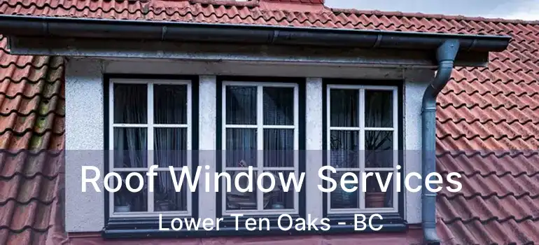  Roof Window Services Lower Ten Oaks - BC