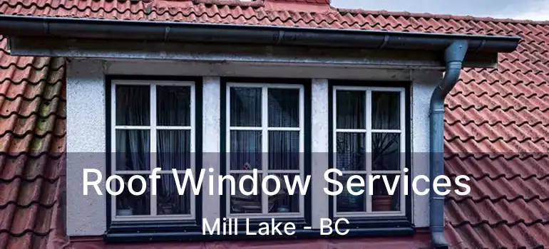  Roof Window Services Mill Lake - BC