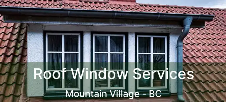  Roof Window Services Mountain Village - BC