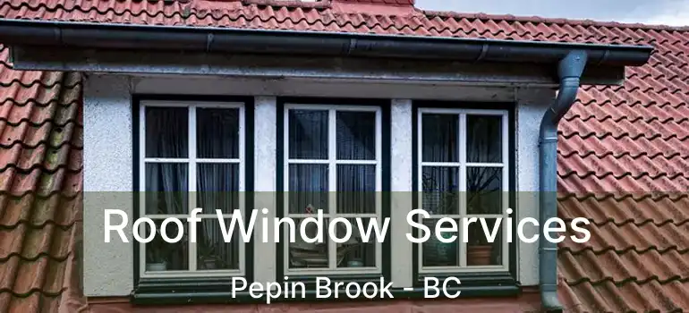  Roof Window Services Pepin Brook - BC