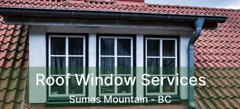  Roof Window Services Sumas Mountain - BC