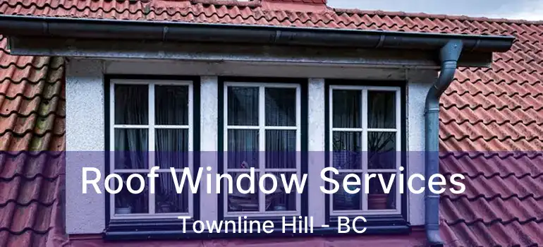  Roof Window Services Townline Hill - BC