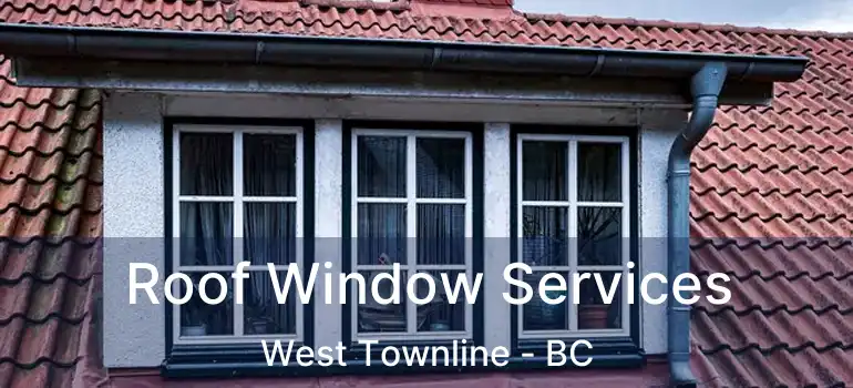  Roof Window Services West Townline - BC