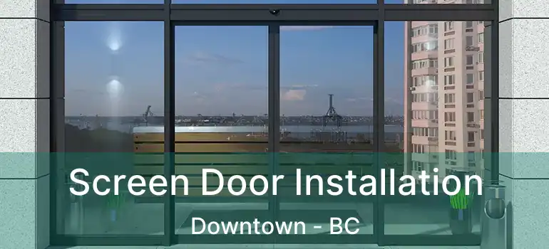  Screen Door Installation Downtown - BC