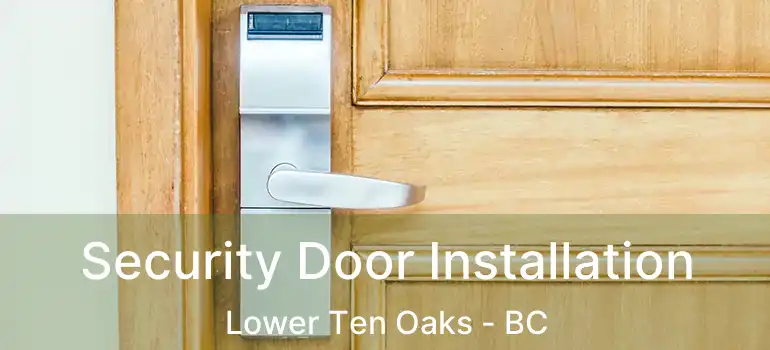  Security Door Installation Lower Ten Oaks - BC