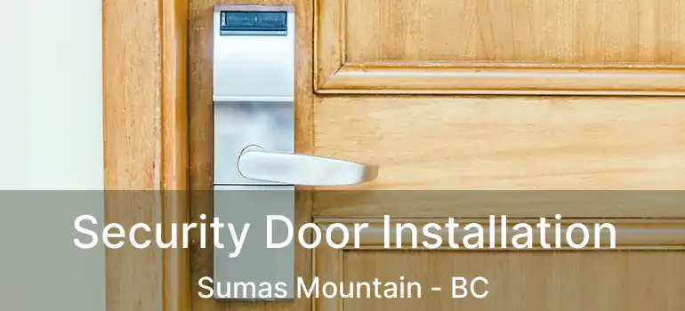  Security Door Installation Sumas Mountain - BC