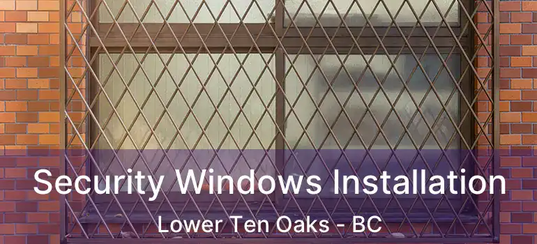  Security Windows Installation Lower Ten Oaks - BC