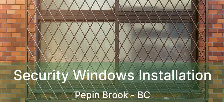  Security Windows Installation Pepin Brook - BC