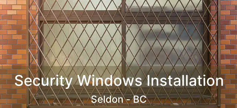  Security Windows Installation Seldon - BC