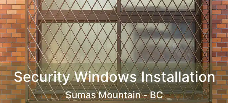  Security Windows Installation Sumas Mountain - BC