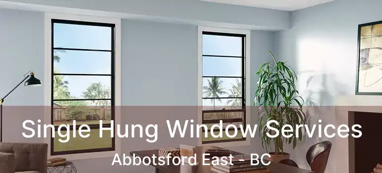  Single Hung Window Services Abbotsford East - BC