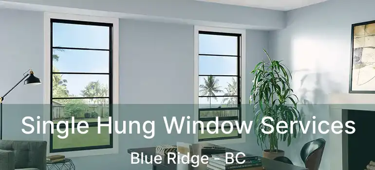  Single Hung Window Services Blue Ridge - BC