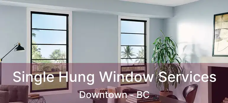  Single Hung Window Services Downtown - BC